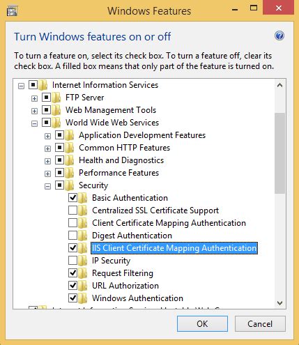 iis 8.5 smart card authentication|iis certificate mapping example.